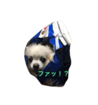 犬のおまわり、ポッキーくん。（個別スタンプ：6）