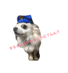 犬のおまわり、ポッキーくん。（個別スタンプ：7）