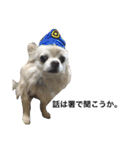 犬のおまわり、ポッキーくん。（個別スタンプ：8）