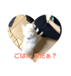 犬のおまわり、ポッキーくん。（個別スタンプ：15）
