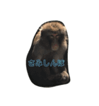おさるの門三郎（個別スタンプ：8）