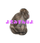 おさるの門三郎（個別スタンプ：15）