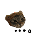 CATSスタンプ（個別スタンプ：18）