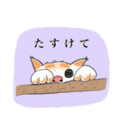 動物の大集合（個別スタンプ：25）