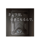 ☘⬛️播州弁 ハムスター①⬛️☘（個別スタンプ：15）