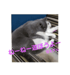 谷道家のいろいろ（個別スタンプ：6）