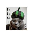 谷道家のいろいろ（個別スタンプ：9）