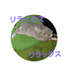 谷道家のいろいろ（個別スタンプ：11）