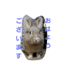 谷道家のいろいろ（個別スタンプ：12）