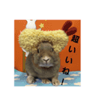 谷道家のいろいろ（個別スタンプ：14）
