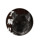 谷道家のいろいろ（個別スタンプ：15）