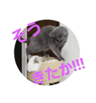 谷道家のいろいろ（個別スタンプ：20）