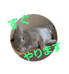 谷道家のいろいろ（個別スタンプ：23）