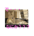 谷道家のいろいろ（個別スタンプ：26）