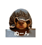 Fify(ふぃふぃー)スタンプ（個別スタンプ：19）