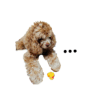 Fify(ふぃふぃー)スタンプ（個別スタンプ：20）