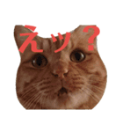 カトラカトラ（個別スタンプ：12）