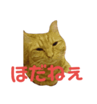 カトラカトラ（個別スタンプ：15）