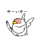 新潟の朱鷺（個別スタンプ：6）