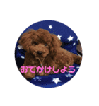 そらの日常会話（個別スタンプ：7）