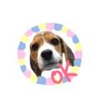 ビグビグ（個別スタンプ：3）