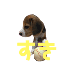 ビグビグ（個別スタンプ：5）