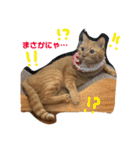 まいけるにゃよ パート2（個別スタンプ：4）