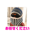 男の子ママの日常0419（個別スタンプ：27）
