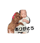 おへんじるいくん（個別スタンプ：10）