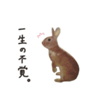 殿の日常（個別スタンプ：8）