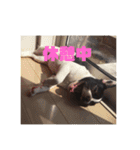楽(タノ)スタンプ（個別スタンプ：1）
