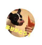 楽(タノ)スタンプ（個別スタンプ：10）