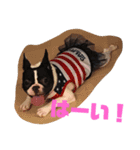 楽(タノ)スタンプ（個別スタンプ：14）