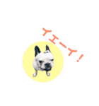 坊です 2nd（個別スタンプ：5）