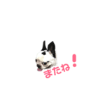 坊です 2nd（個別スタンプ：8）