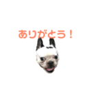 坊です 2nd（個別スタンプ：18）