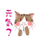 ねこのみかん（個別スタンプ：4）