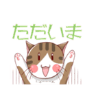 ねこのみかん（個別スタンプ：6）