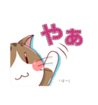 ねこのみかん（個別スタンプ：7）
