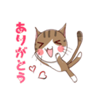 ねこのみかん（個別スタンプ：13）