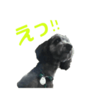 うなぎ犬"まる"（個別スタンプ：5）