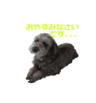 うなぎ犬"まる"（個別スタンプ：6）