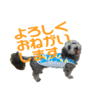 うなぎ犬"まる"（個別スタンプ：8）
