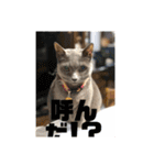 あんじーと12にゃんず4（個別スタンプ：14）