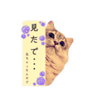 ポン太のスタンプ2（個別スタンプ：19）