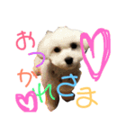 みるく＆もも（個別スタンプ：1）