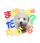 みるく＆もも（個別スタンプ：4）