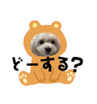 みるく＆もも（個別スタンプ：12）