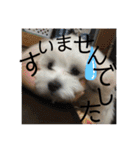 みるく＆もも（個別スタンプ：14）