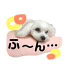 みるく＆もも（個別スタンプ：20）